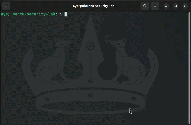 Ubuntu package patching workflow
