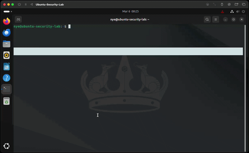 Creating a protected Ubuntu backup